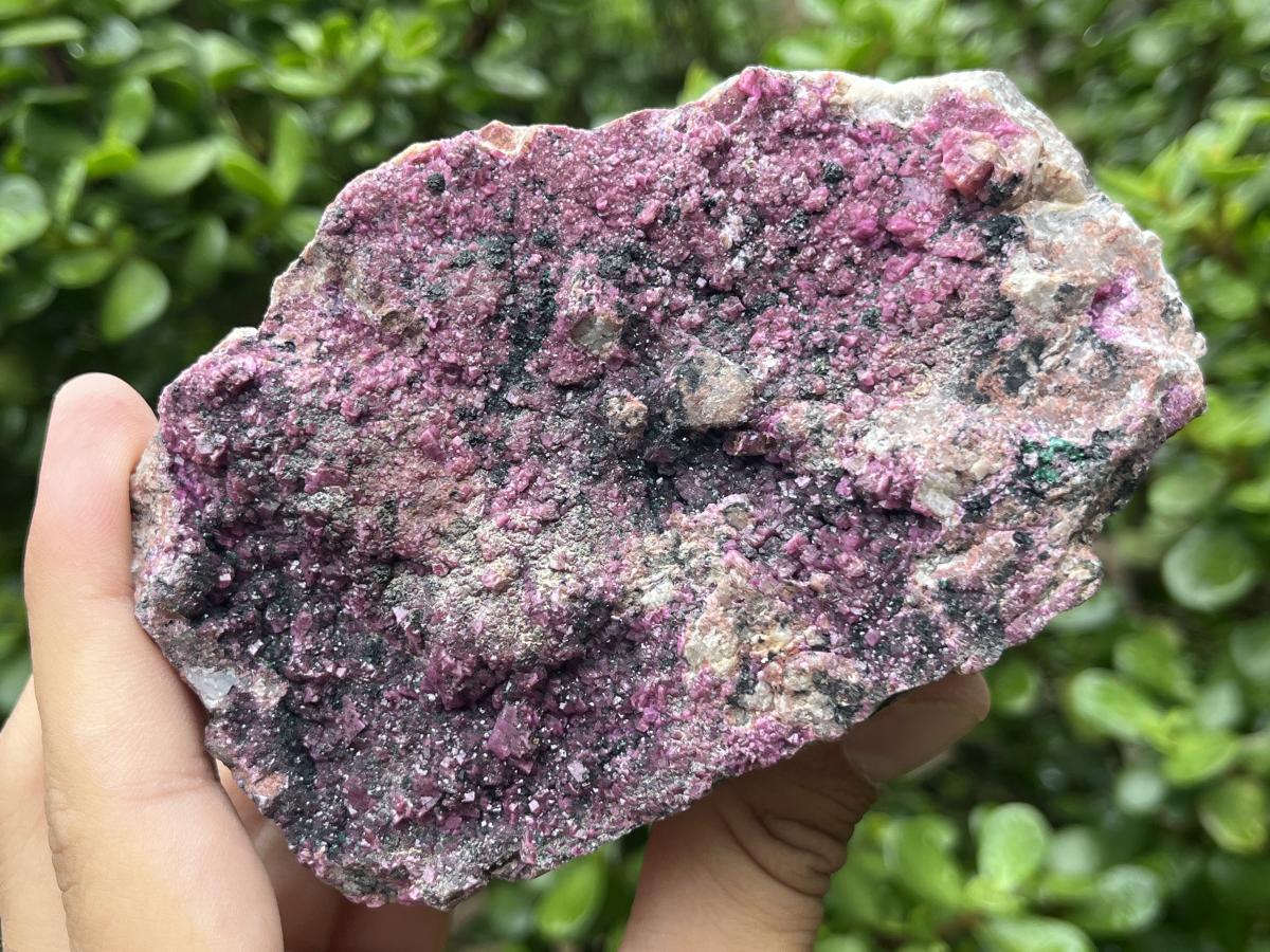 Natural Salrose Drusy Pink Cobaltion Dolomite Specimen x 1 From Kakanda, Congo