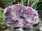 Natural Salrose Drusy Pink Cobaltion Dolomite Specimen x 1 From Kakanda, Congo
