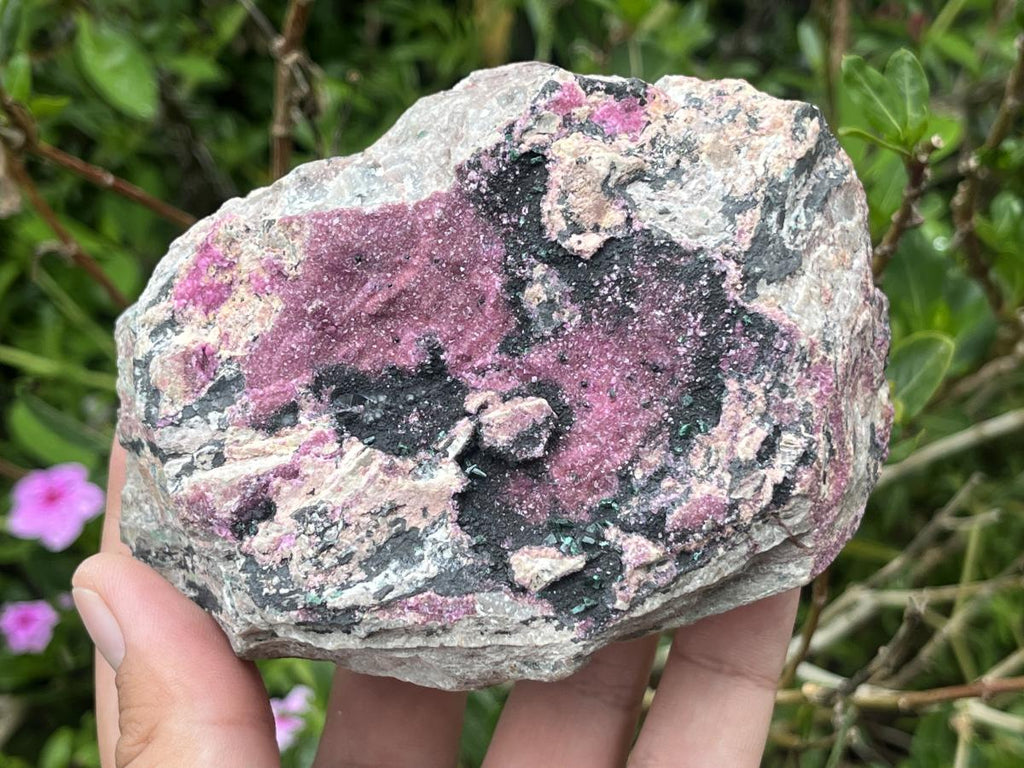 Natural Salrose Drusy Pink Cobaltion Dolomite Specimen x 1 From Kakanda, Congo