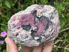 Natural Salrose Drusy Pink Cobaltion Dolomite Specimen x 1 From Kakanda, Congo