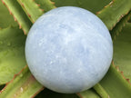 Polished Sky Blue Calcite Sphere x 1 From Ambositra, Madagascar