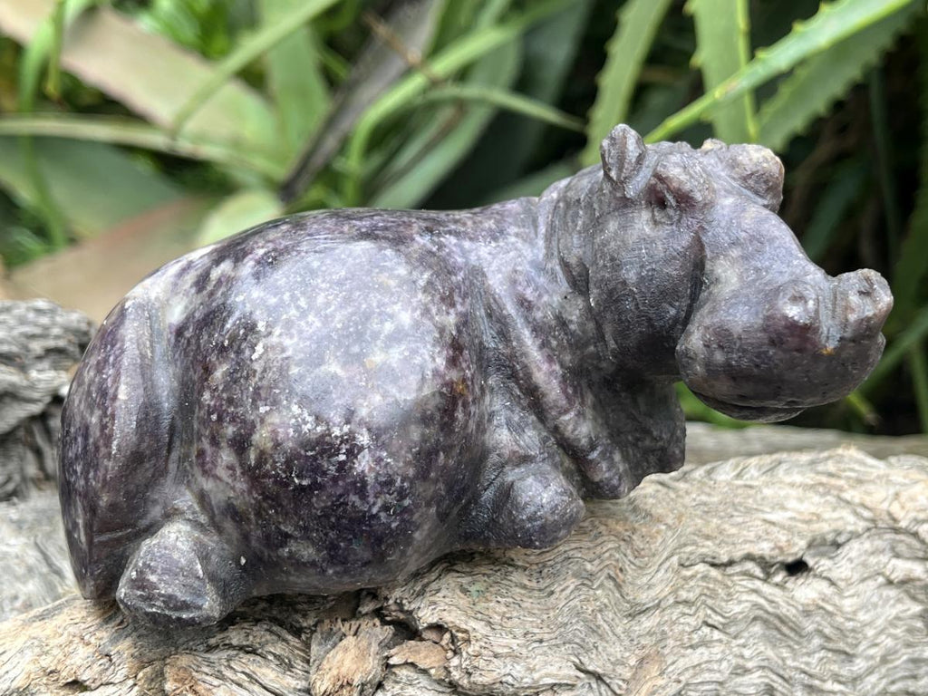 Hand Made Purple Lithium Lepidolite Hippo Carving x 1 From Zimbabwe