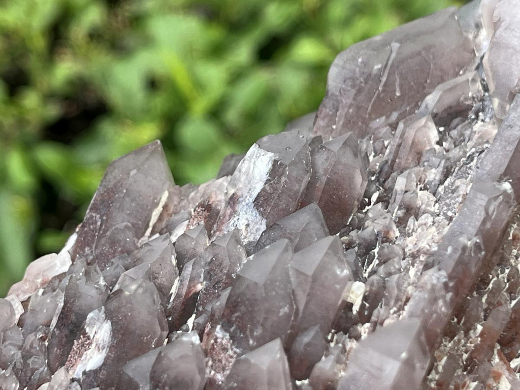 Natural Multi-Terminated Cascading Hematoid Quartz Crystal x 1 From Pella, Northern Cape, South Africa