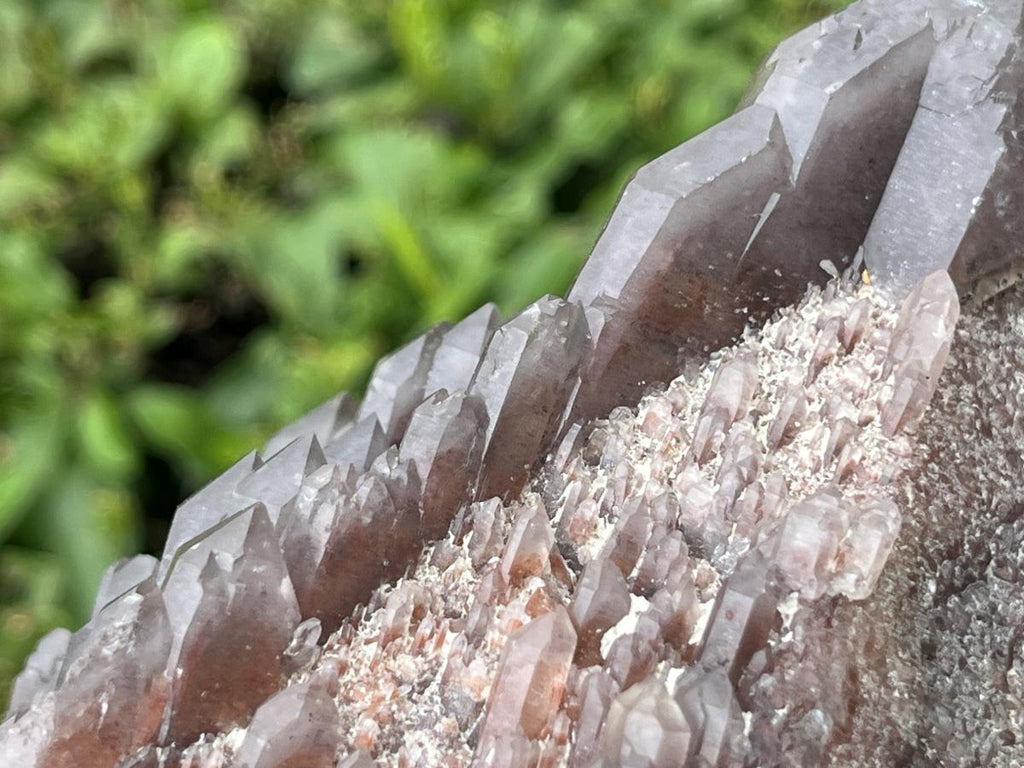 Natural Multi-Terminated Cascading Hematoid Quartz Crystal x 1 From Pella, Northern Cape, South Africa