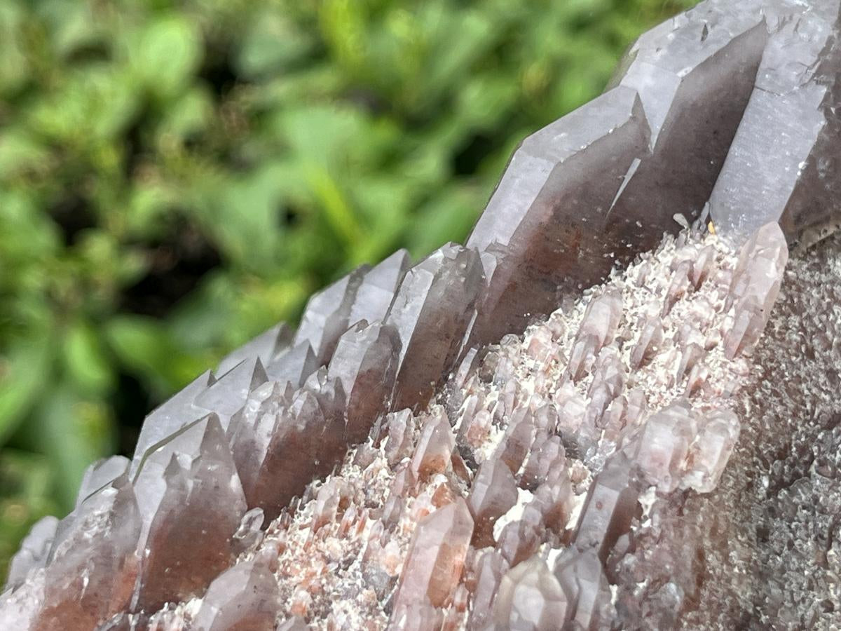 Natural Multi-Terminated Cascading Hematoid Quartz Crystal x 1 From Pella, Northern Cape, South Africa