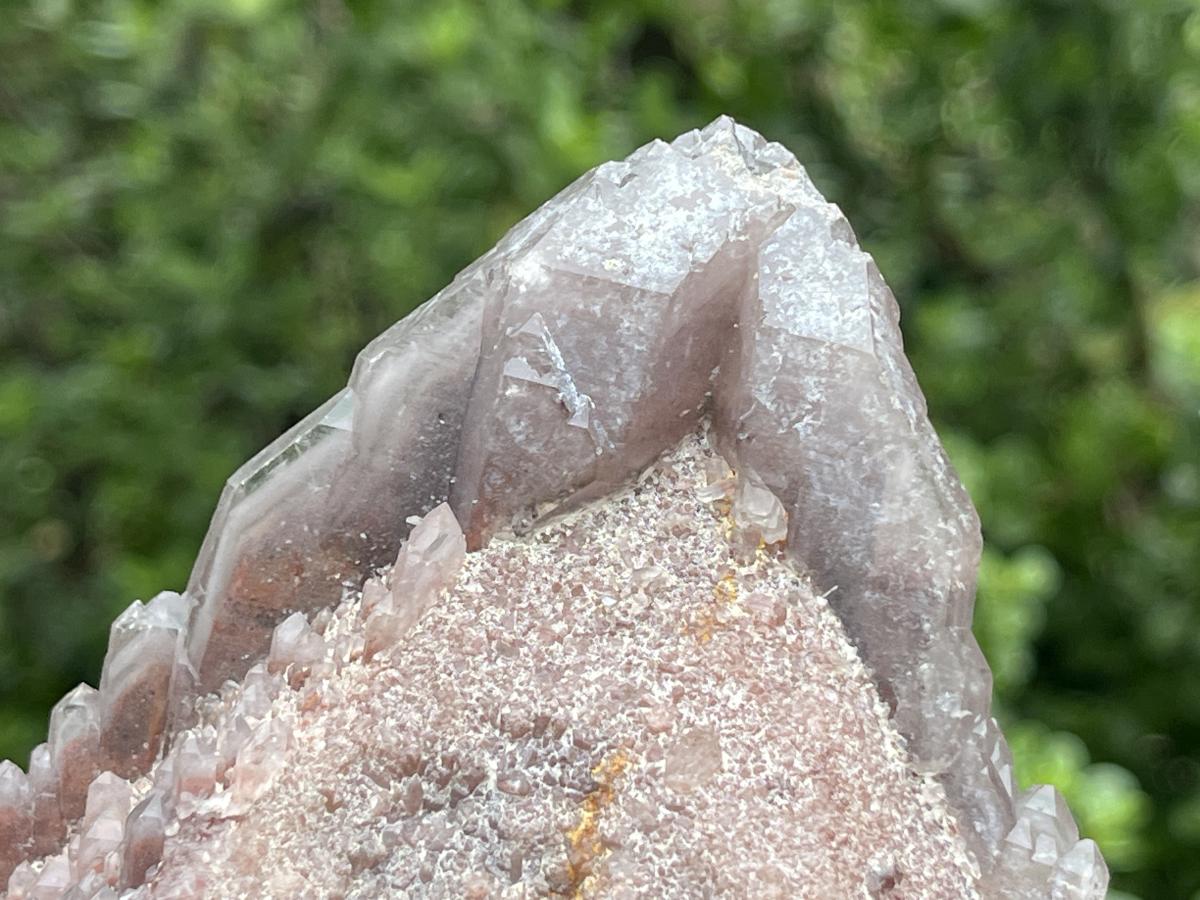 Natural Multi-Terminated Cascading Hematoid Quartz Crystal x 1 From Pella, Northern Cape, South Africa