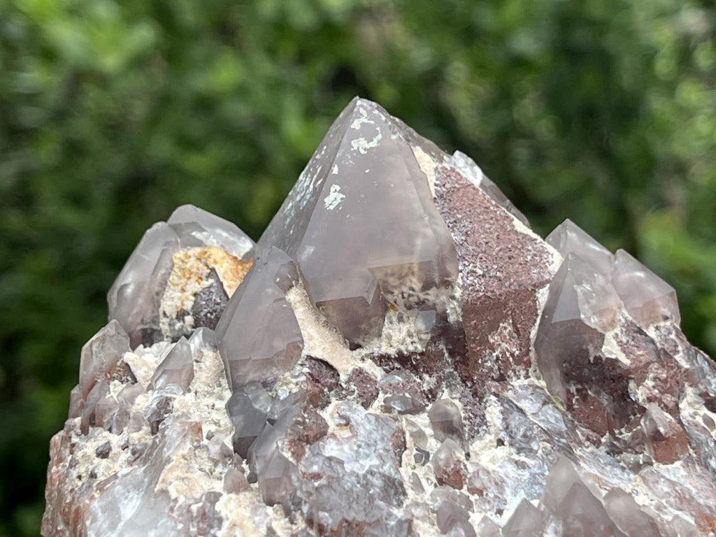 Natural Multi-Terminated Cascading Hematoid Quartz Crystal x 1 From Pella, Northern Cape, South Africa