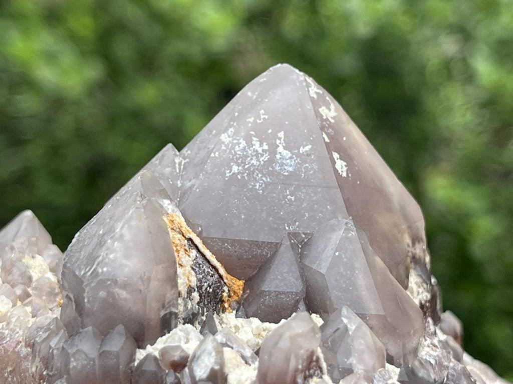 Natural Multi-Terminated Cascading Hematoid Quartz Crystal x 1 From Pella, Northern Cape, South Africa