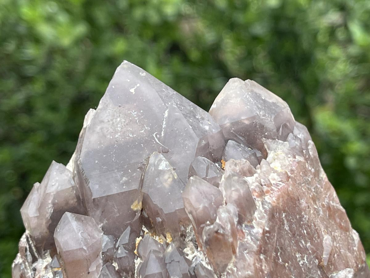 Natural Multi-Terminated Cascading Hematoid Quartz Crystal x 1 From Pella, Northern Cape, South Africa