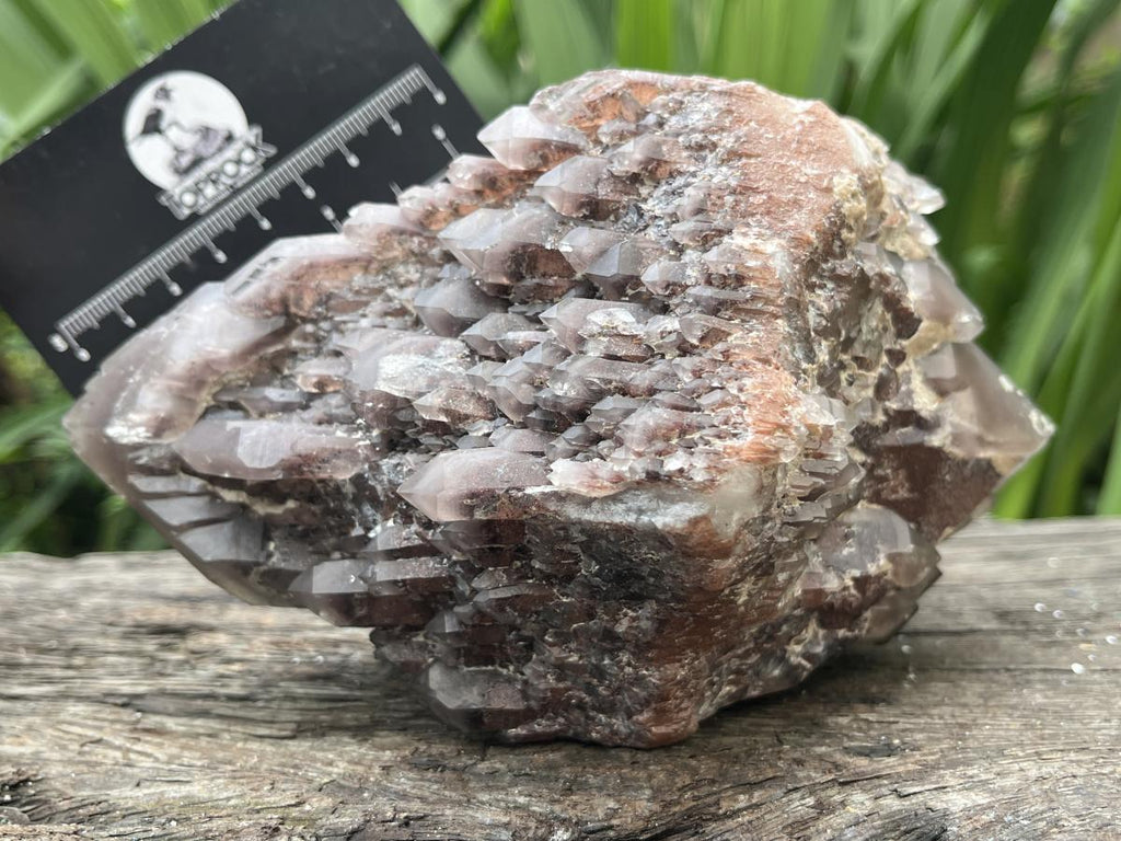 Natural Multi-Terminated Cascading Hematoid Quartz Crystal x 1 From Pella, Northern Cape, South Africa