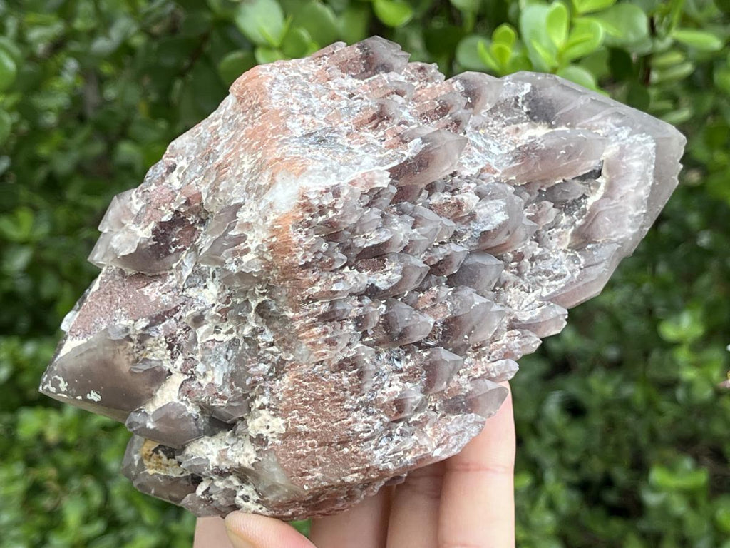 Natural Multi-Terminated Cascading Hematoid Quartz Crystal x 1 From Pella, Northern Cape, South Africa