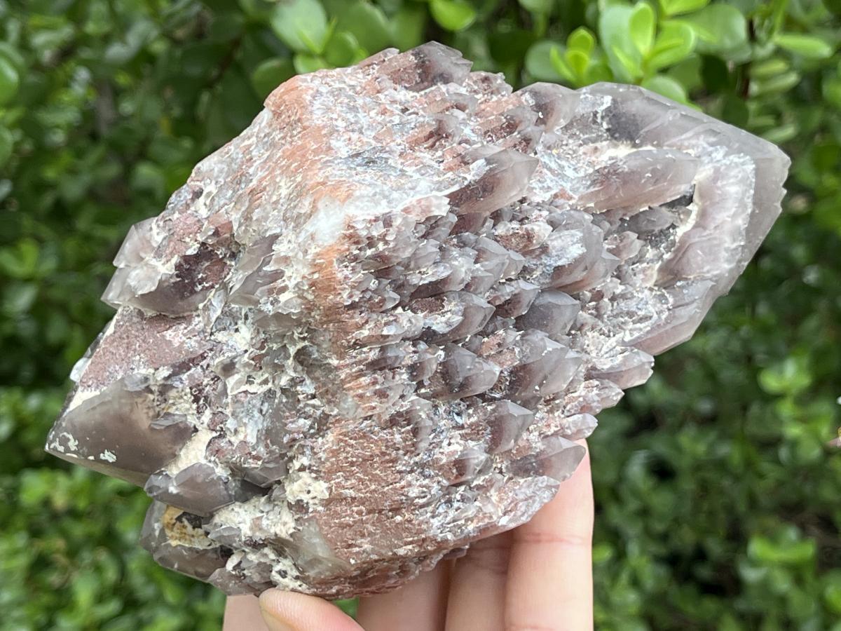 Natural Multi-Terminated Cascading Hematoid Quartz Crystal x 1 From Pella, Northern Cape, South Africa