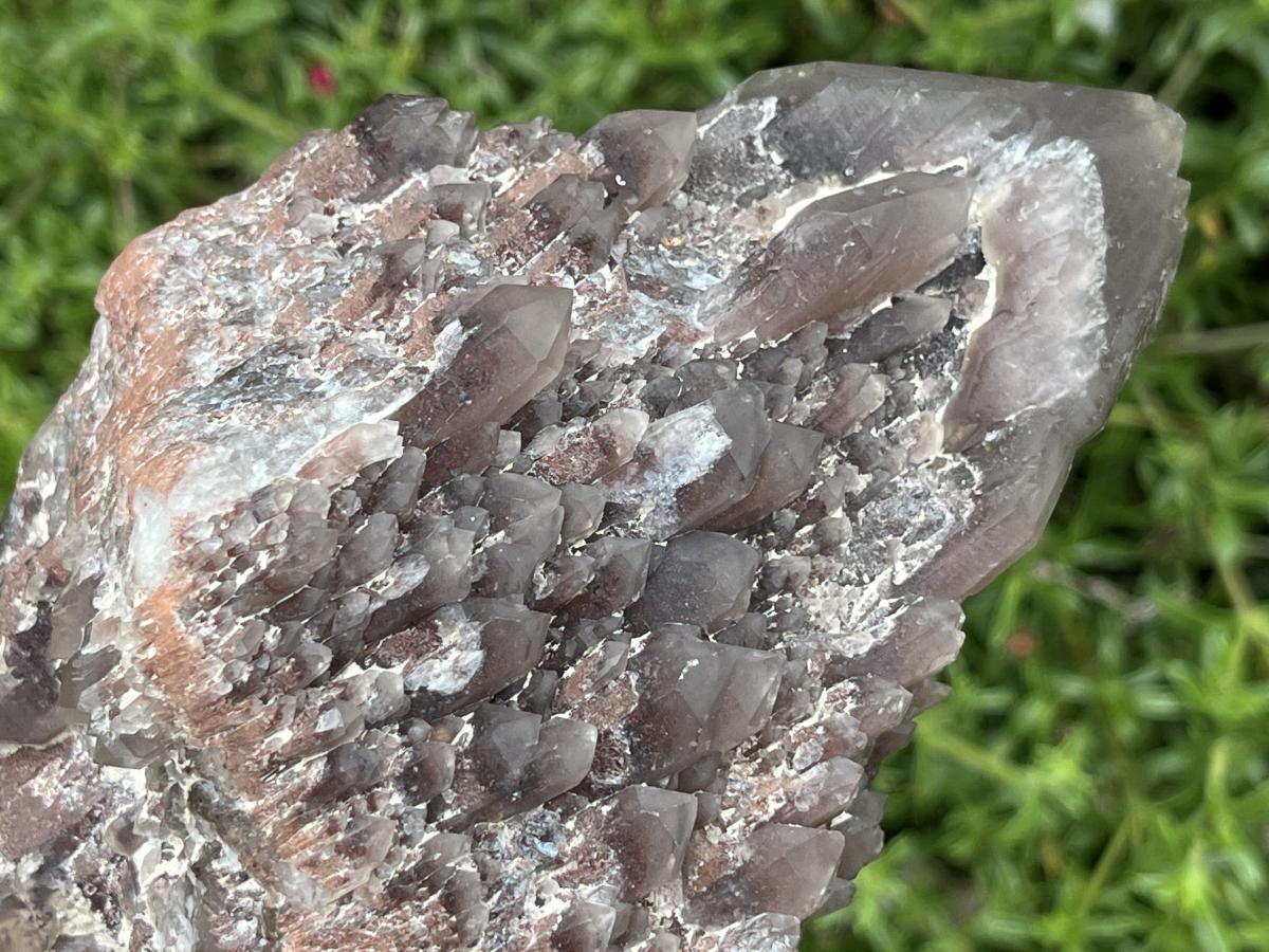 Natural Multi-Terminated Cascading Hematoid Quartz Crystal x 1 From Pella, Northern Cape, South Africa