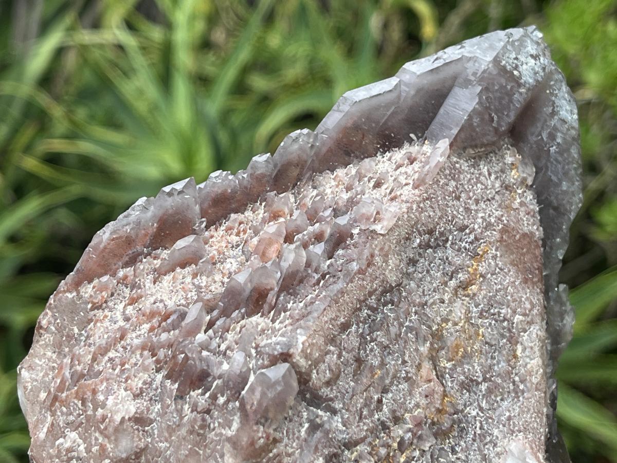 Natural Multi-Terminated Cascading Hematoid Quartz Crystal x 1 From Pella, Northern Cape, South Africa