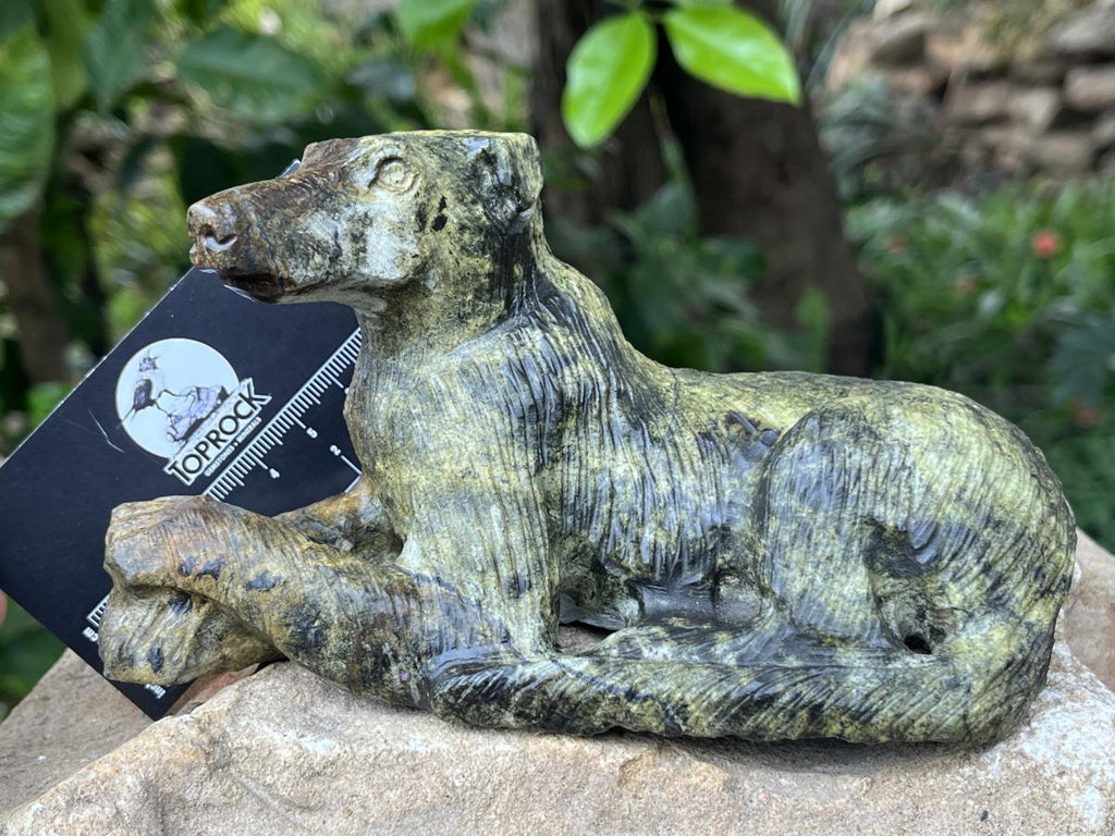 Hand Made Leopard Stone Collie Dog Carving x 1 From Zimbabwe