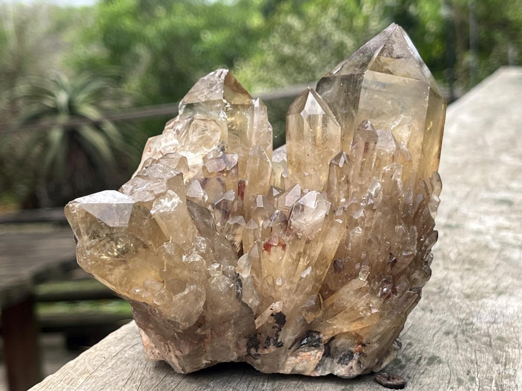 Natural Cascading Citrine Cluster x 1 From Luena, Congo