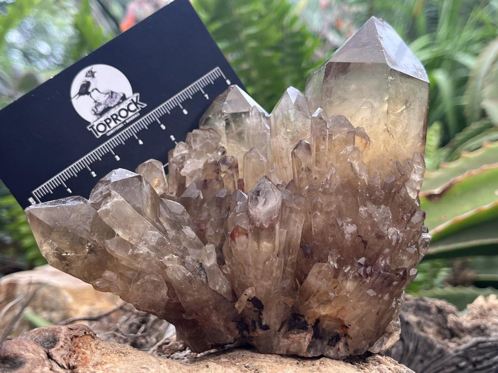 Natural Cascading Citrine Cluster x 1 From Luena, Congo