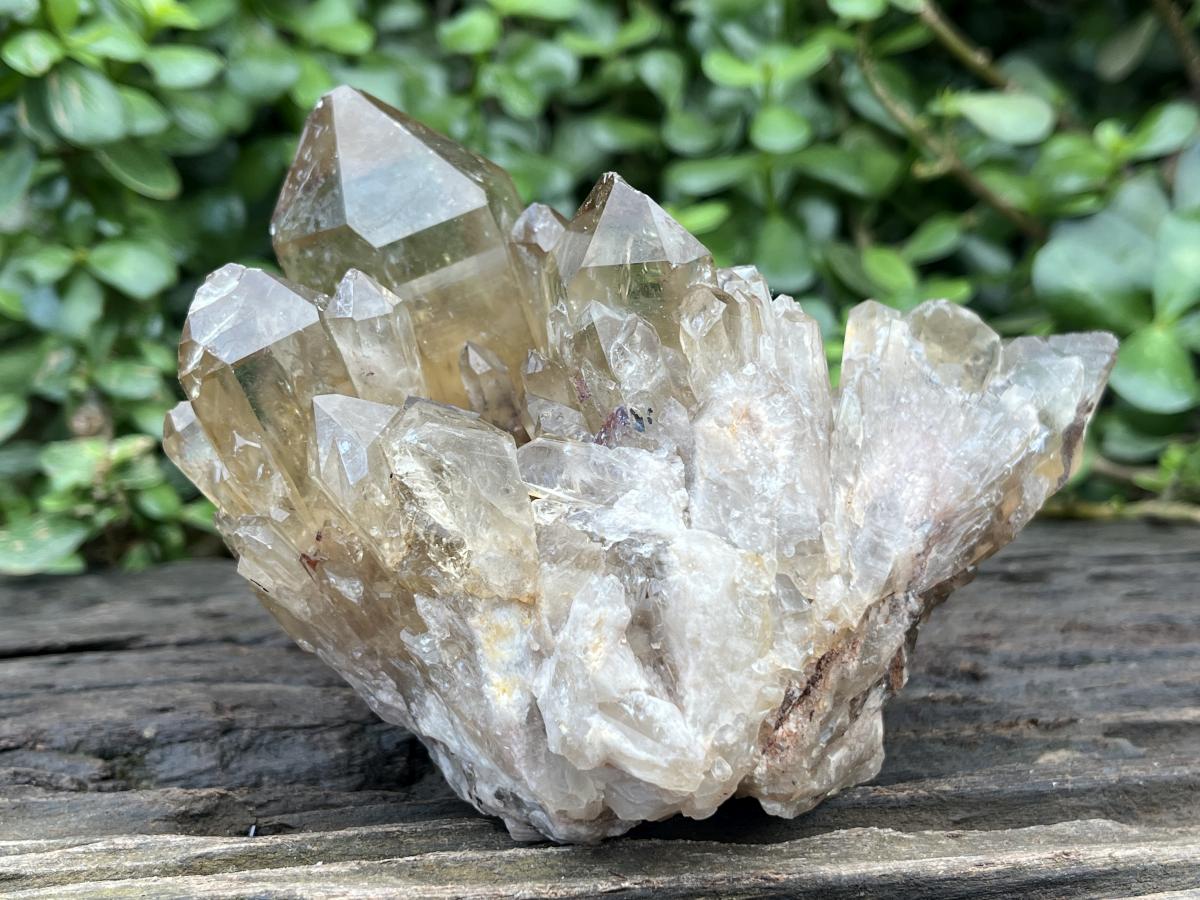 Natural Cascading Citrine Cluster x 1 From Luena, Congo