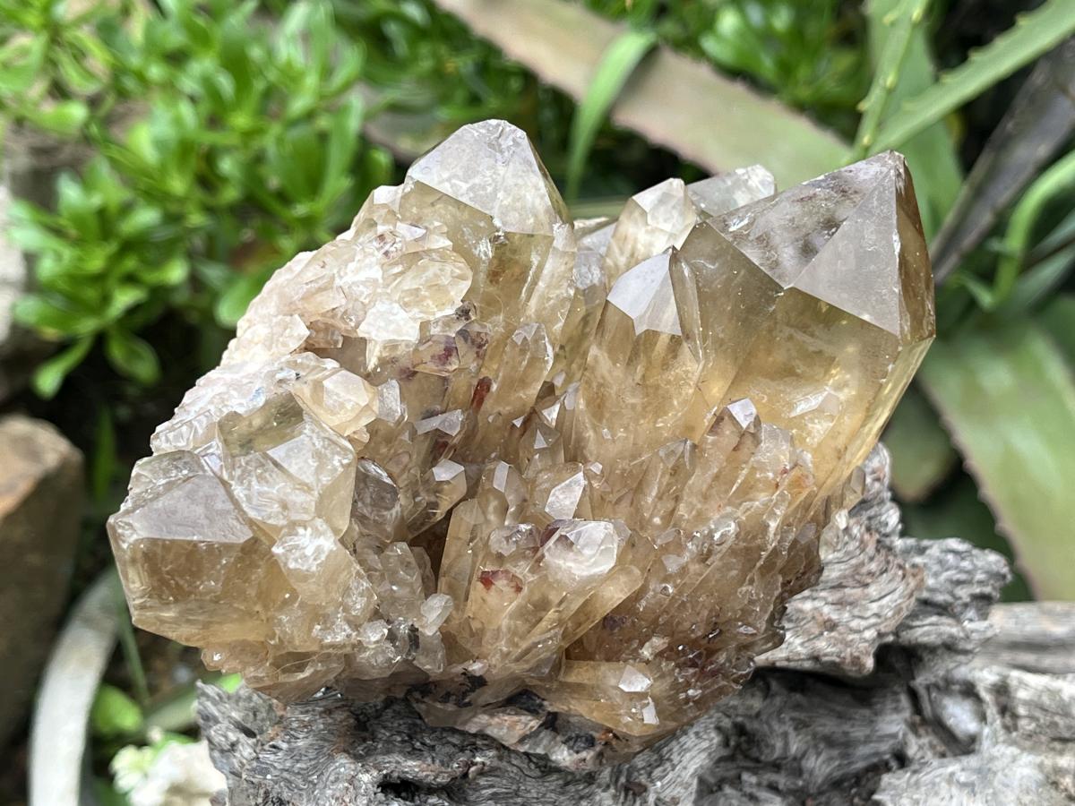 Natural Cascading Citrine Cluster x 1 From Luena, Congo