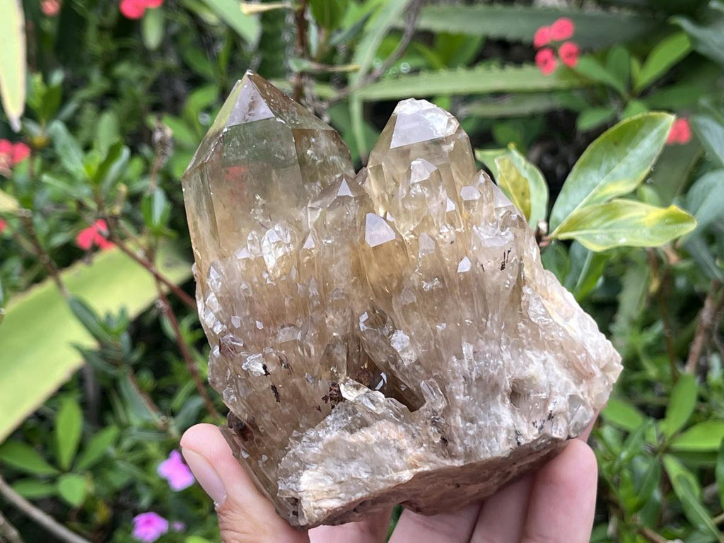 Natural Cascading Citrine Cluster x 1 From Luena, Congo