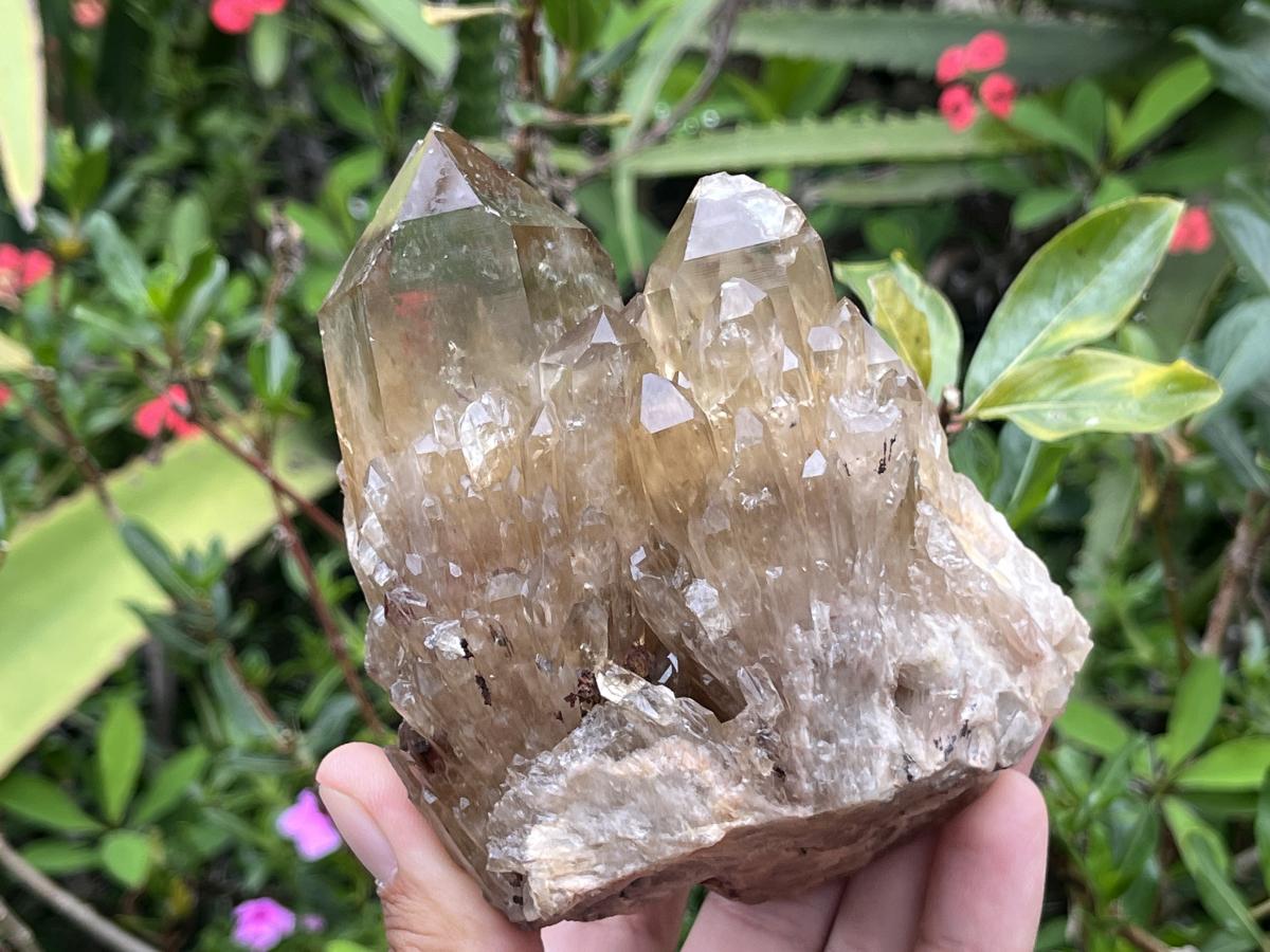 Natural Cascading Citrine Cluster x 1 From Luena, Congo