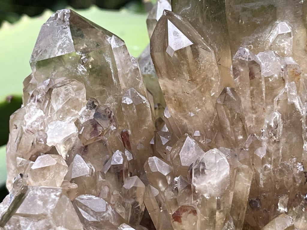 Natural Cascading Citrine Cluster x 1 From Luena, Congo