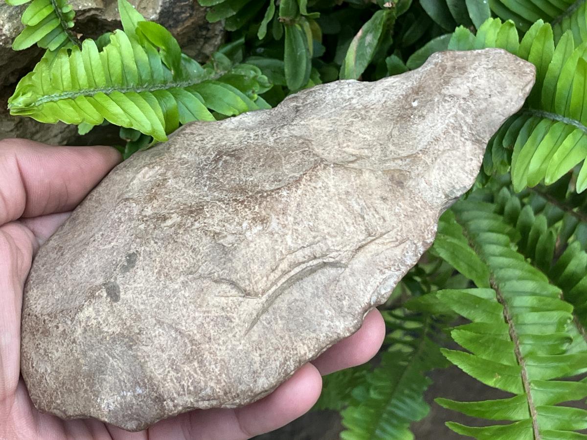 Hand Made Early Stone Age Stone Hand Axe x 1 From Northern Cape, South Africa