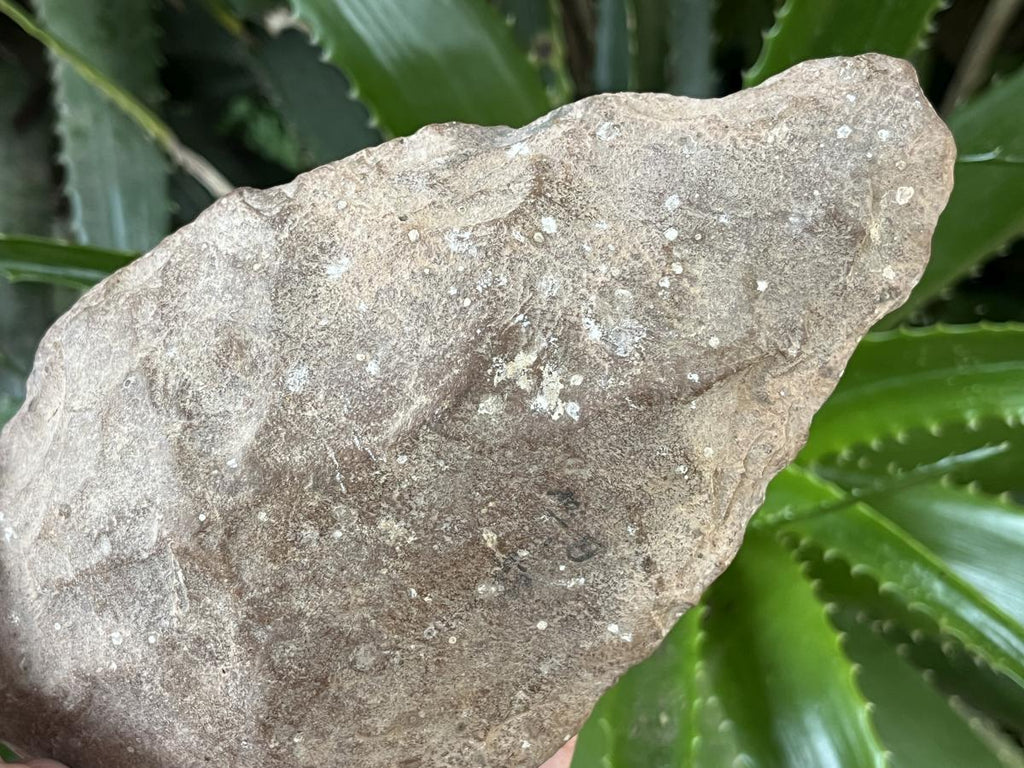 Hand Made Early Stone Age Stone Hand Axe x 1 From Northern Cape, South Africa