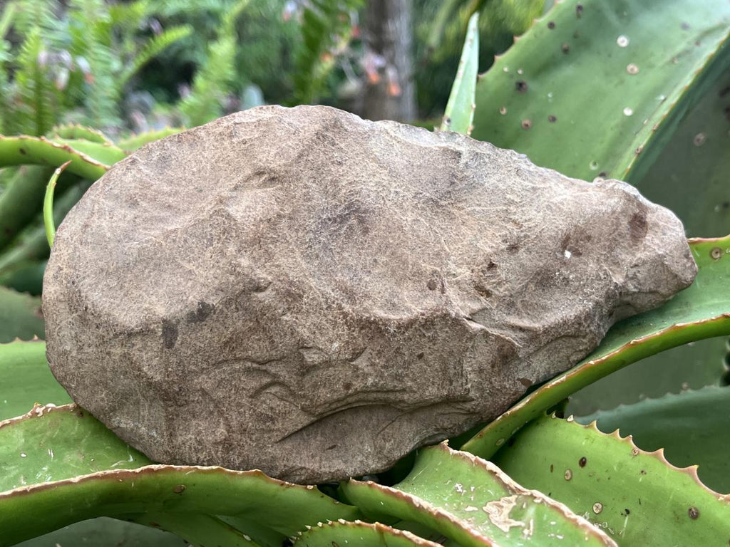 Hand Made Early Stone Age Stone Hand Axe x 1 From Northern Cape, South Africa