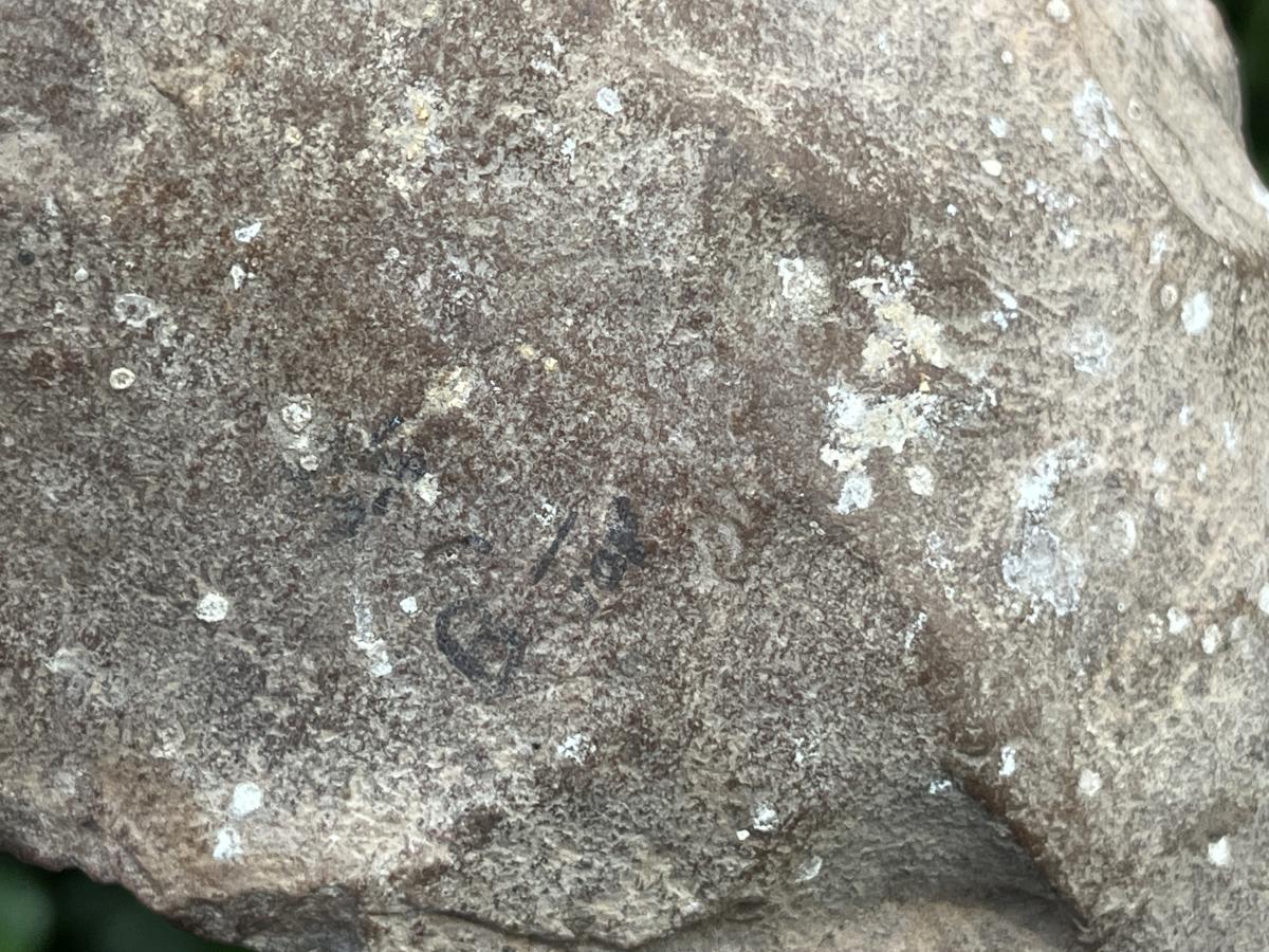 Hand Made Early Stone Age Stone Hand Axe x 1 From Northern Cape, South Africa