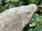 Hand Made Early Stone Age Stone Hand Axe x 1 From Northern Cape, South Africa