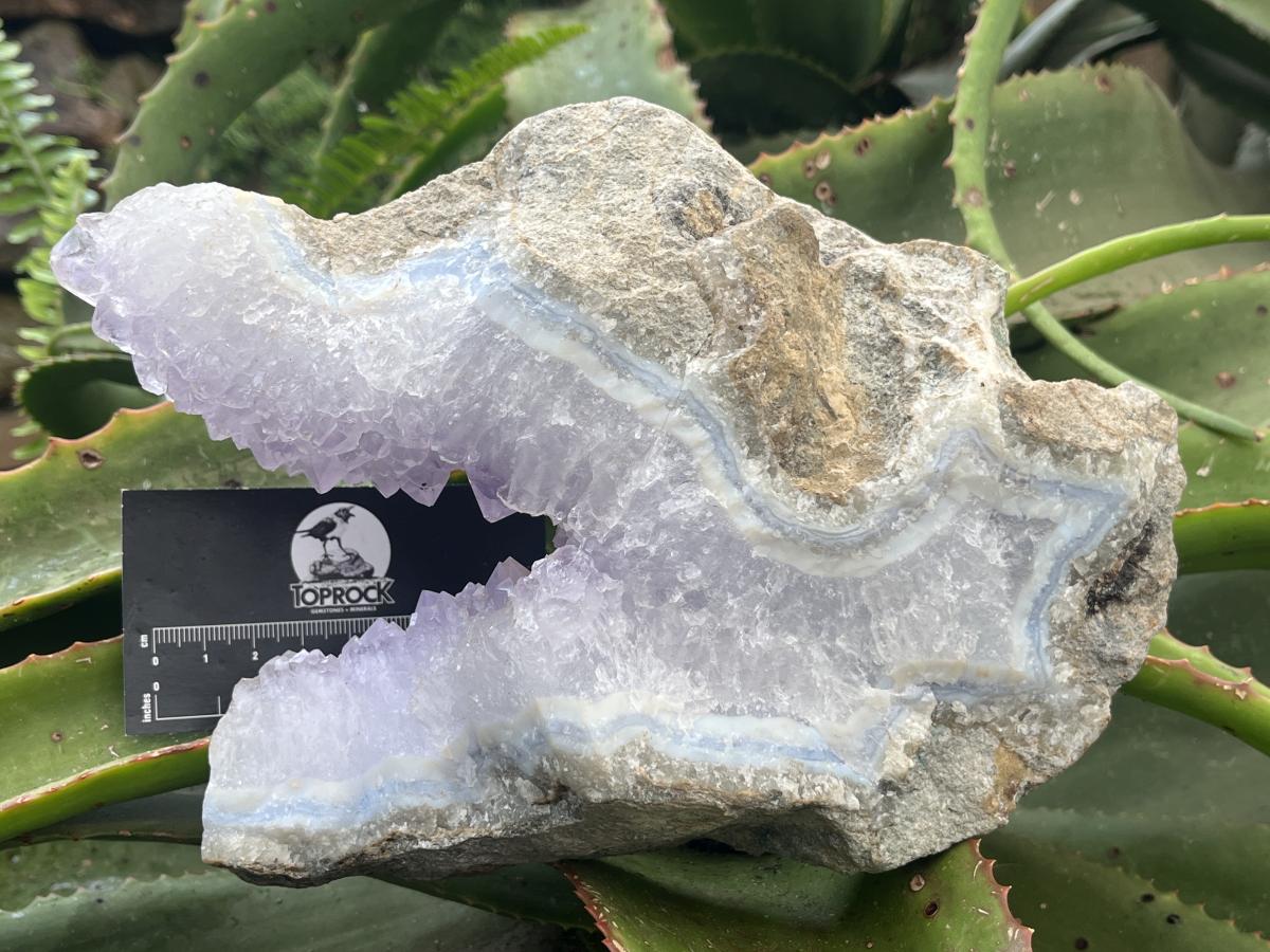 Natural Blue Lace Agate Amethyst Centred Specimen x 1 From Nsanje, Malawi