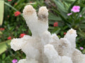 Natural Rare Drusy Snow Quartz Coated Crystal Cluster x 1 From Albert's Mountain, Lesotho