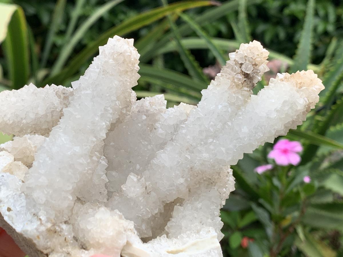 Natural Rare Drusy Snow Quartz Coated Crystal Cluster x 1 From Albert's Mountain, Lesotho