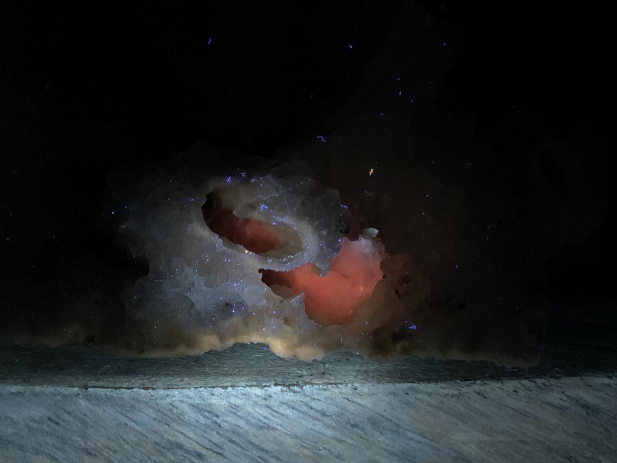 Natural Rare Drusy Snow Quartz Coated Crystal Cluster x 1 From Albert's Mountain, Lesotho