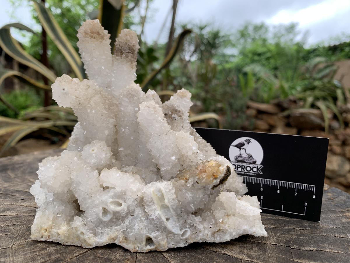 Natural Rare Drusy Snow Quartz Coated Crystal Cluster x 1 From Albert's Mountain, Lesotho