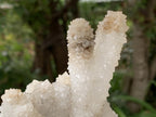 Natural Rare Drusy Snow Quartz Coated Crystal Cluster x 1 From Albert's Mountain, Lesotho