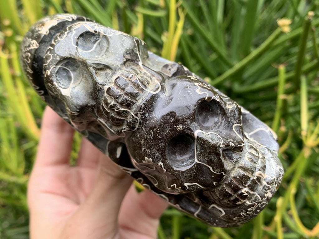 Hand Made Cleoniceras Ammonite Fossil Double Skull Art Carving x 1 From Tulear, Madagascar