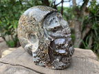Hand Made Cleoniceras Ammonite Fossil Double Skull Art Carving x 1 From Tulear, Madagascar