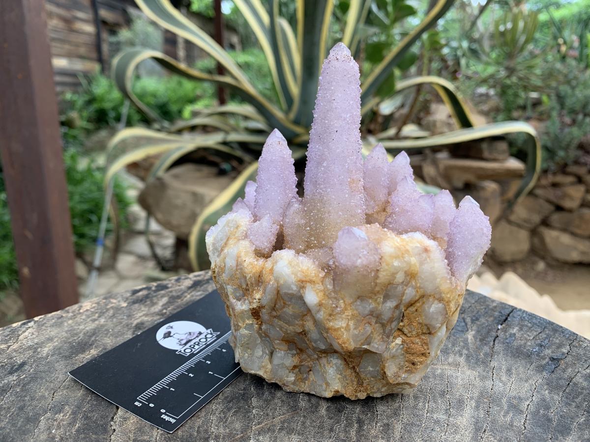 Natural Amethyst Spirit Crystal Cluster x 1 From Boekenhouthoek, South Africa
