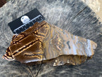 Half-Polished Superb Nguni Jasper Slice x 1 From Northern Cape, South Africa