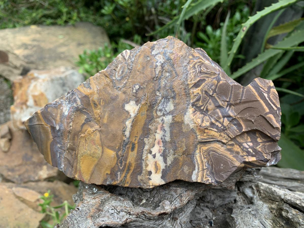 Half-Polished Superb Nguni Jasper Slice x 1 From Northern Cape, South Africa