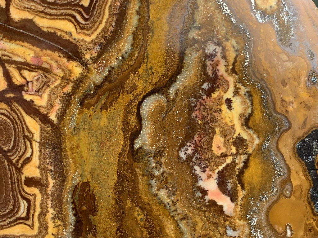 Half-Polished Superb Nguni Jasper Slice x 1 From Northern Cape, South Africa