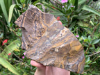 Half-Polished Superb Nguni Jasper Slice x 1 From Northern Cape, South Africa
