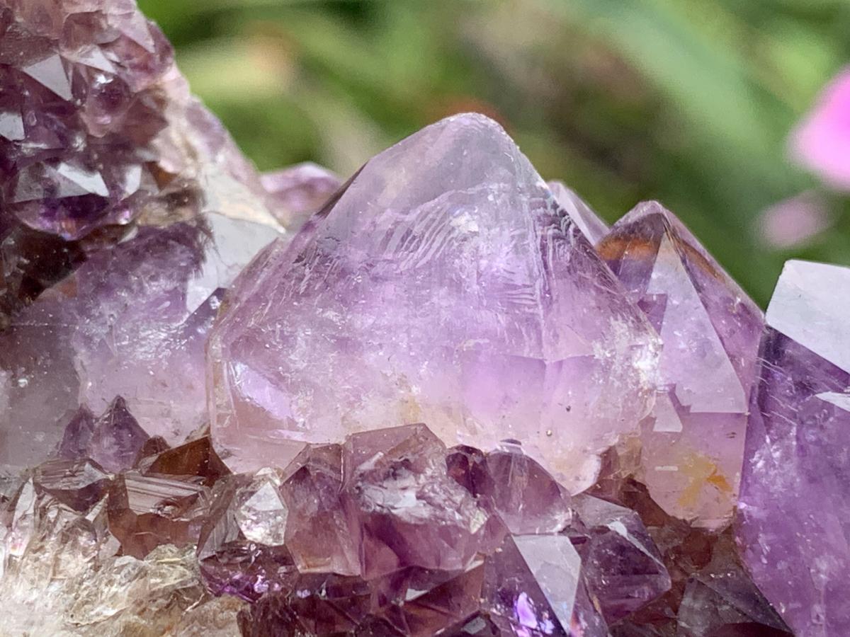 Natural Dark Purple Amethyst Crystal Cluster x 1 From Boekenhouthoek, South Africa