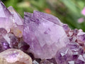 Natural Dark Purple Amethyst Crystal Cluster x 1 From Boekenhouthoek, South Africa