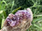 Natural Dark Purple Amethyst Crystal Cluster x 1 From Boekenhouthoek, South Africa