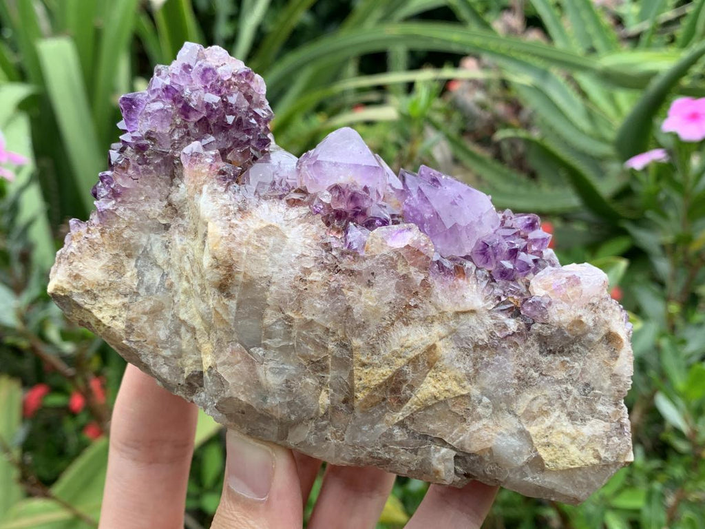 Natural Dark Purple Amethyst Crystal Cluster x 1 From Boekenhouthoek, South Africa