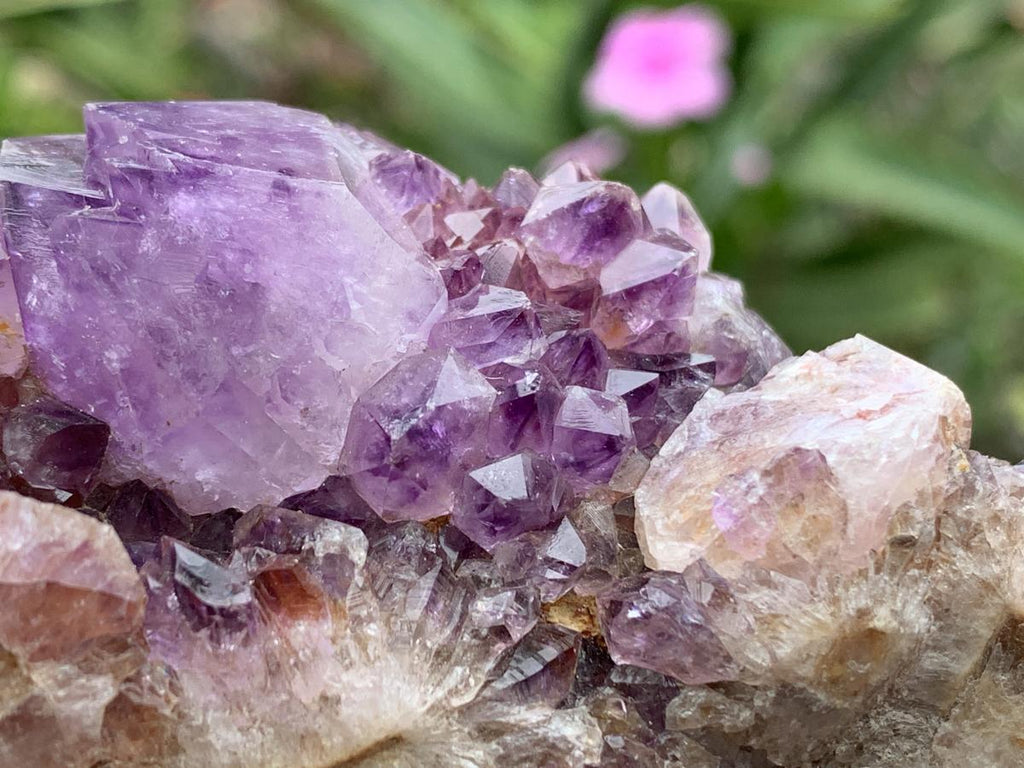 Natural Dark Purple Amethyst Crystal Cluster x 1 From Boekenhouthoek, South Africa