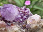 Natural Dark Purple Amethyst Crystal Cluster x 1 From Boekenhouthoek, South Africa